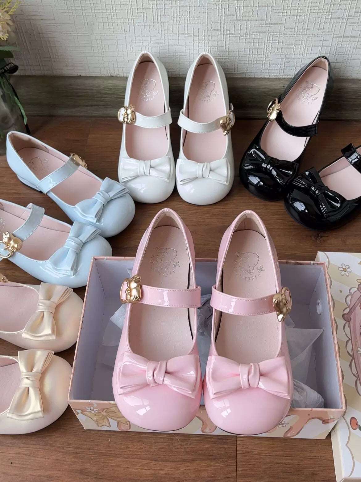 Capybara Lolita Low Heels Mary Jane Shoes