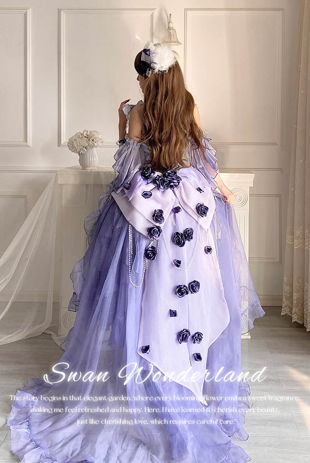 Meow Fruit Swan Fantasy 2.0 Princess Elegant Prom Dress – Sugarplum Store