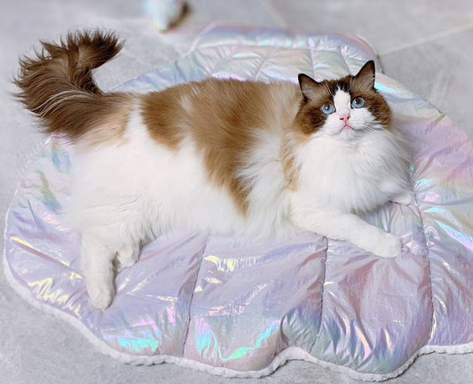 Sparkling Ocean Pastel Mermaid Cats Dogs Pets Beds