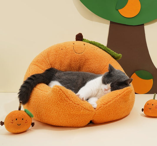 Cute Orange Tangerine Fruits Decoration Cats Dogs Pets Beds House